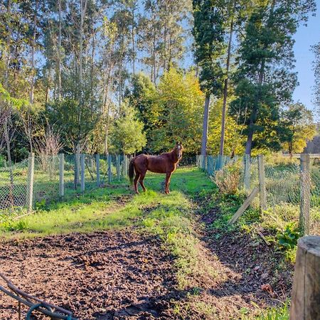 Casa Do Moinho Rural Campo E Praia , 9 Pessoas, Animais Benvindos Espinho  Kültér fotó