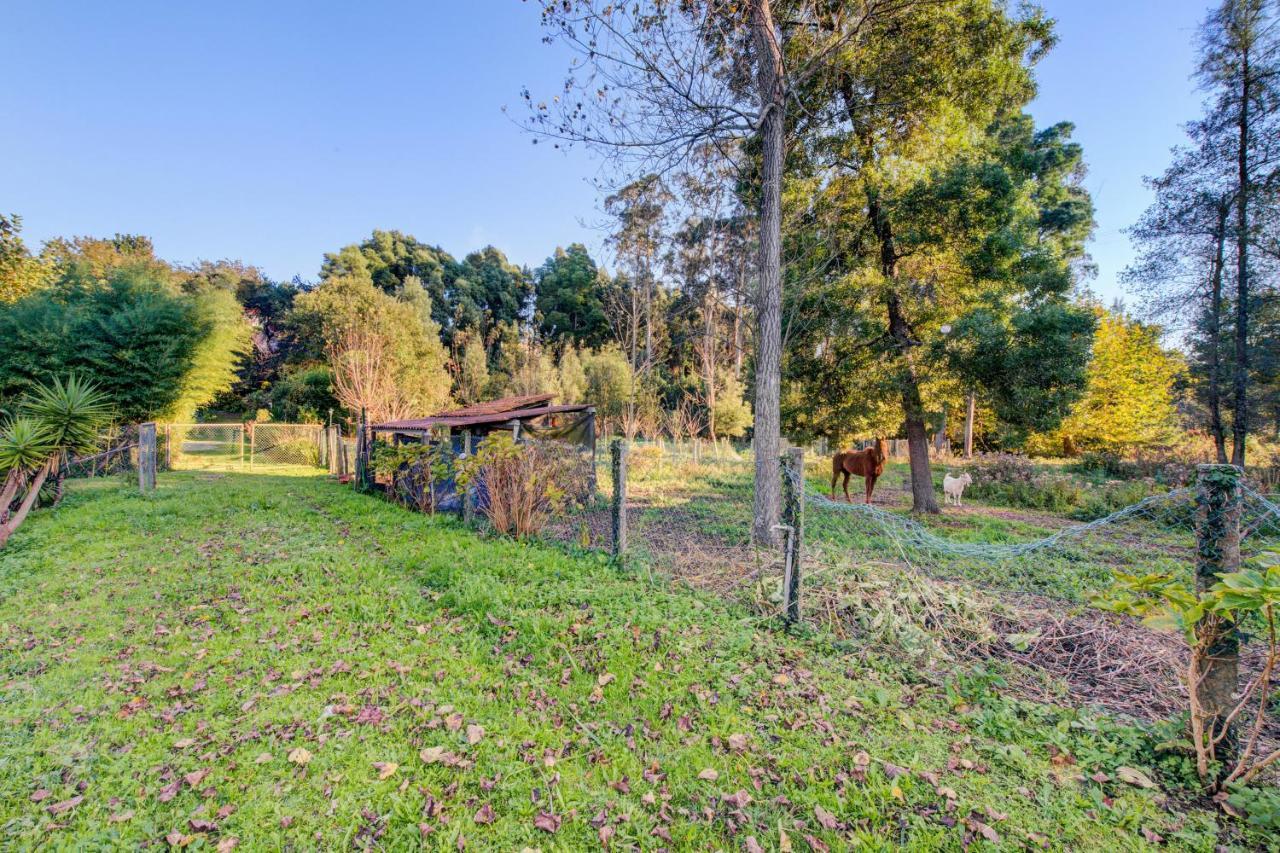 Casa Do Moinho Rural Campo E Praia , 9 Pessoas, Animais Benvindos Espinho  Kültér fotó