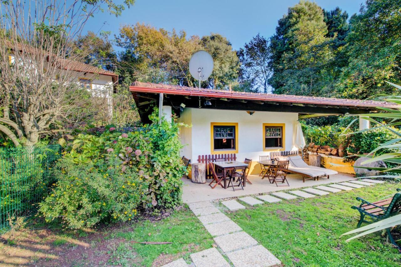 Casa Do Moinho Rural Campo E Praia , 9 Pessoas, Animais Benvindos Espinho  Kültér fotó