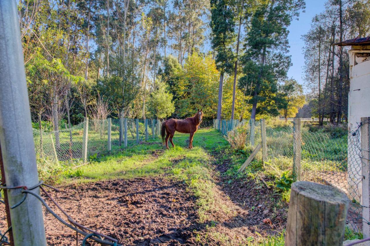 Casa Do Moinho Rural Campo E Praia , 9 Pessoas, Animais Benvindos Espinho  Kültér fotó