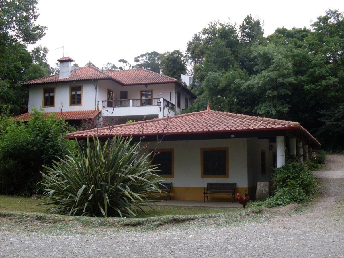 Casa Do Moinho Rural Campo E Praia , 9 Pessoas, Animais Benvindos Espinho  Kültér fotó